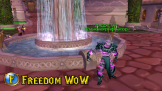 Freedom WoW UA скриншот 1