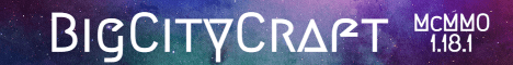 BigCityCraft