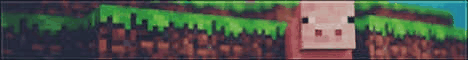 Unknown server 3141