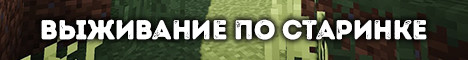 Unknown server 8386