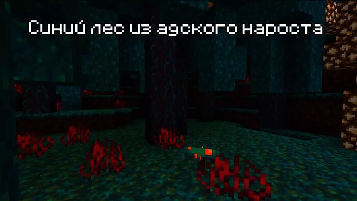 синий лес в Minecraft 1.16