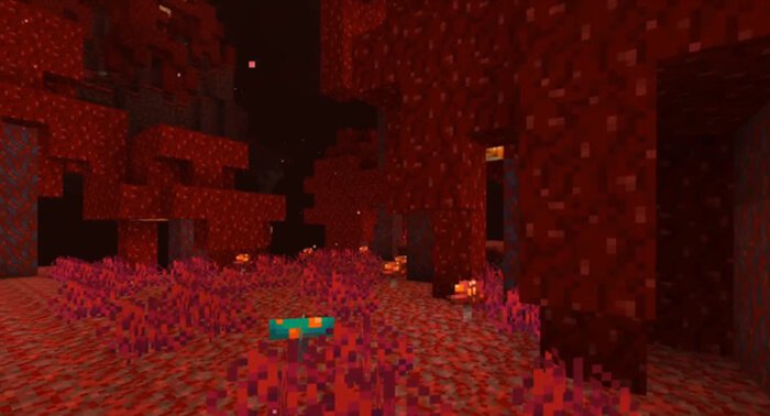 красный лес в Minecraft 1.16