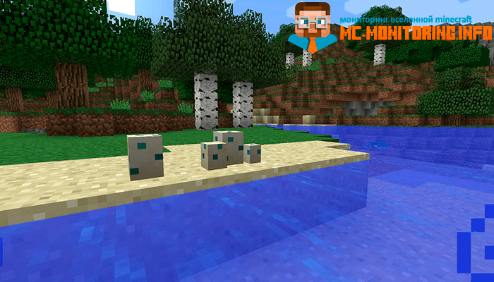 черепашьи яйца