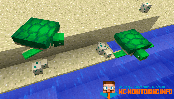 Детеныши черепах